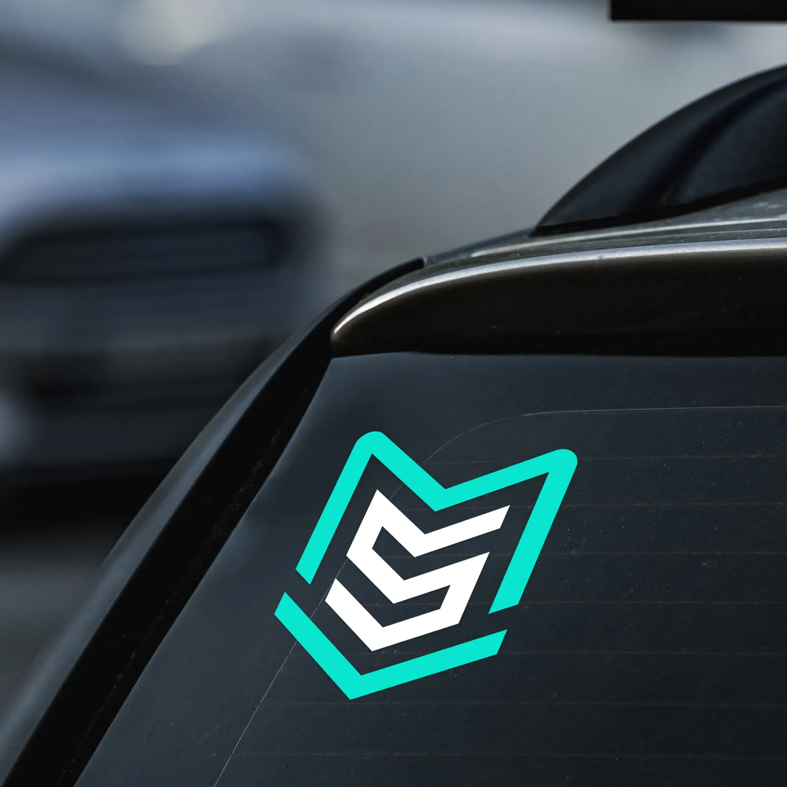 Salem Metro Decal